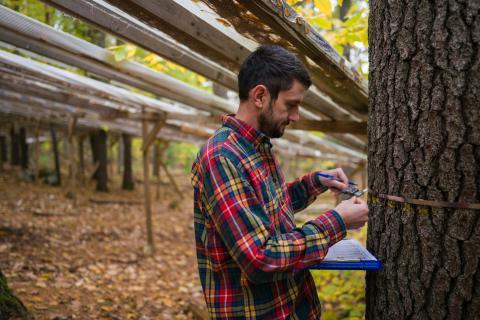 Student doing research at UNH